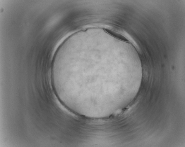 X0000075891100200610151745