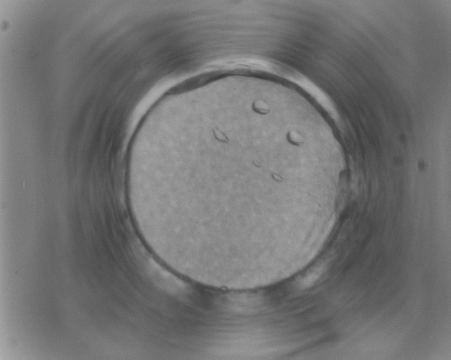 X0000075891102200610151745