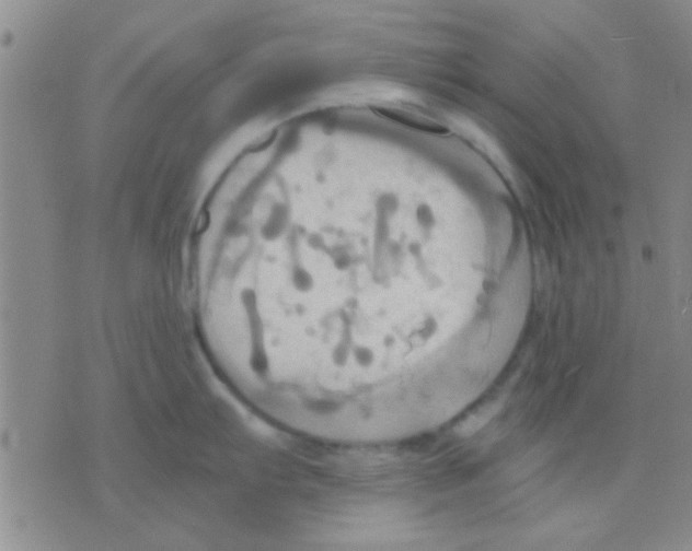 X0000075891103200610151745