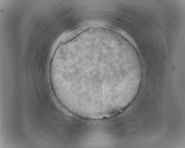 X0000075891104200610151745