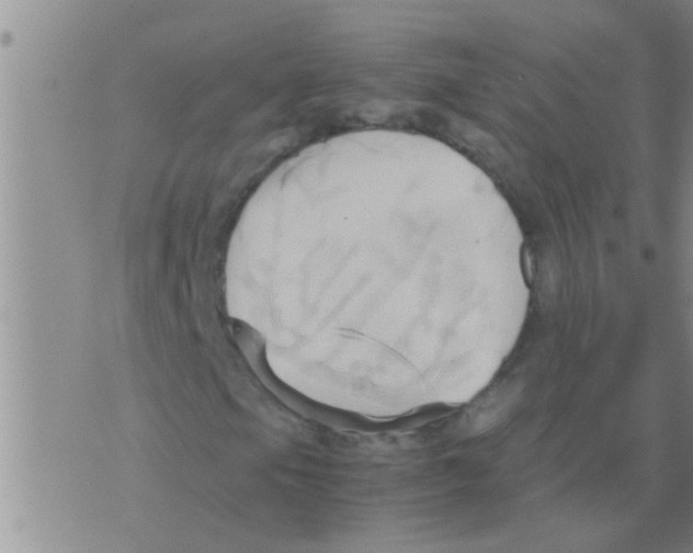 X0000075891105200610151744