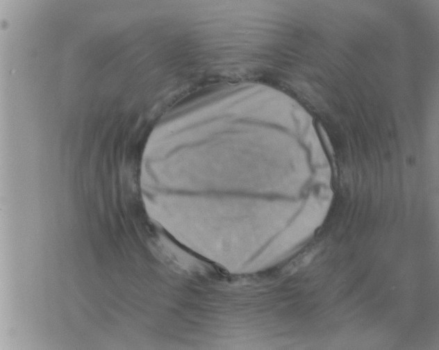 X0000075891106200610151744