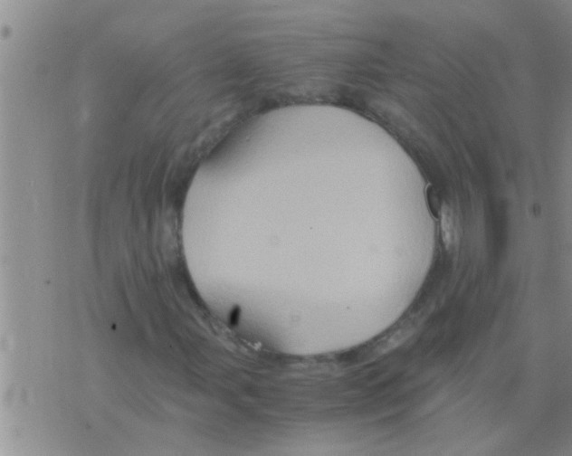 X0000075891107200610151744