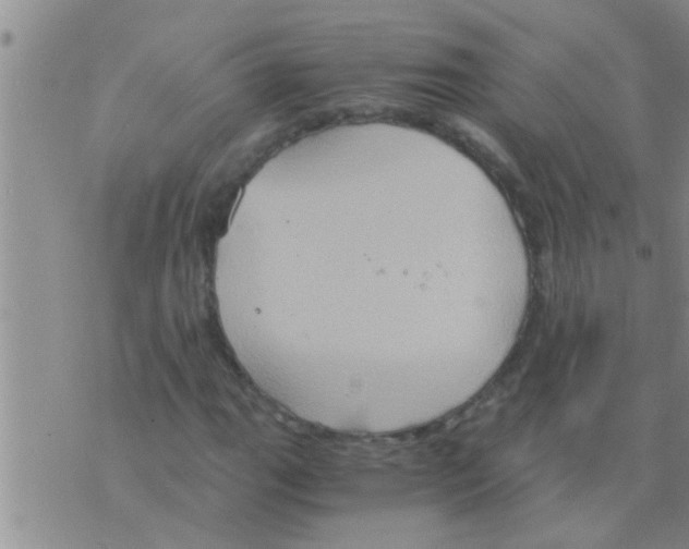 X0000075891111200610151744