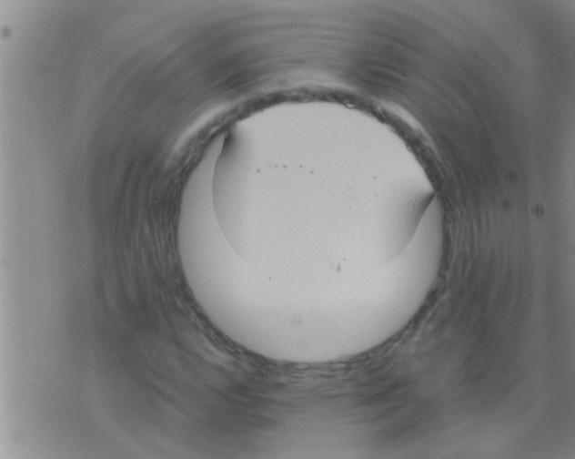 X0000075891112200610151744