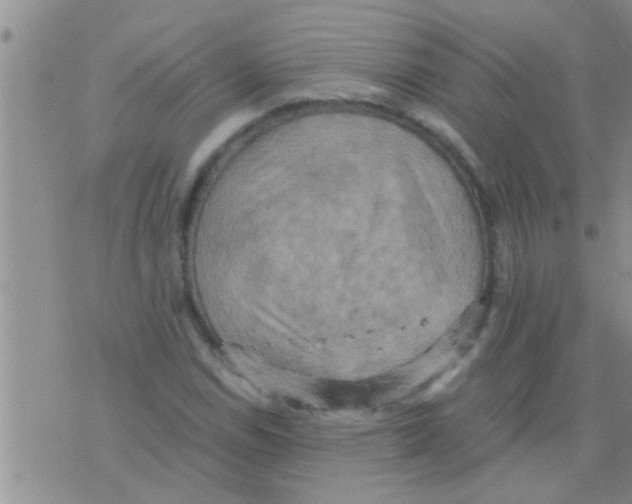 X0000075891114200610151744