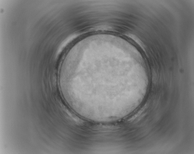 X0000075891115200610151744