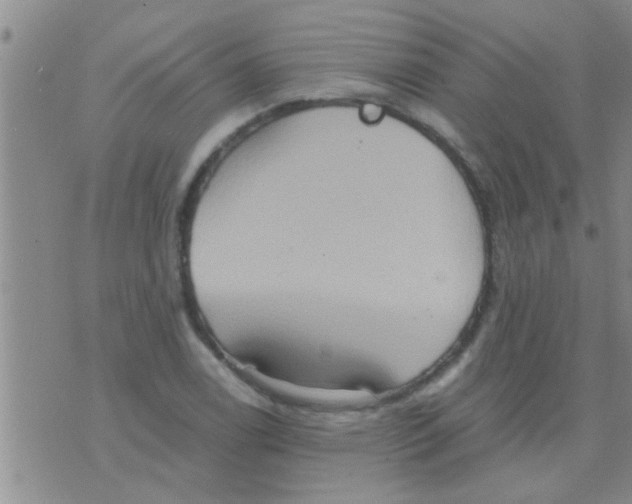 X0000075891122200610151744