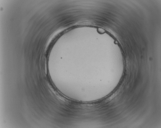 X0000075891123200610151744