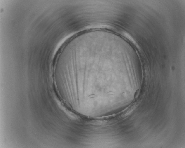 X0000075891124200610151744