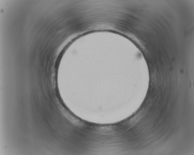 X0000075891126200610151744