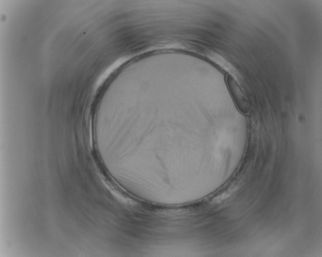 X0000075891127200610151744