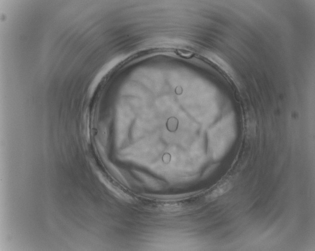 X0000075891128200610151744