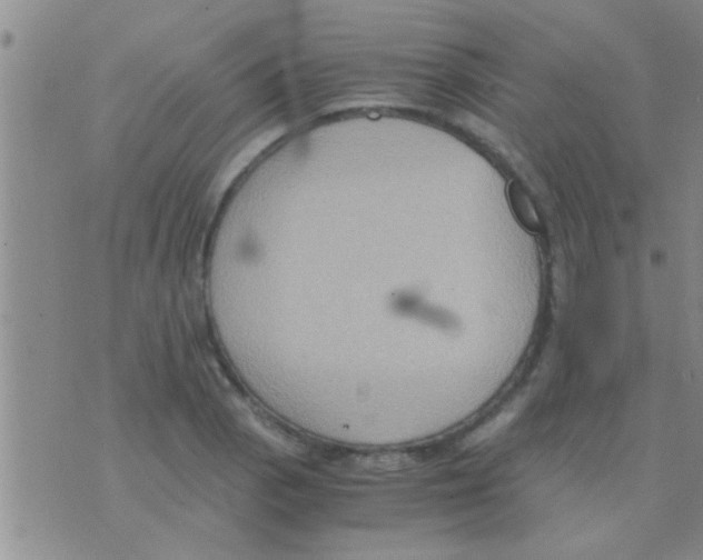 X0000075891129200610151744