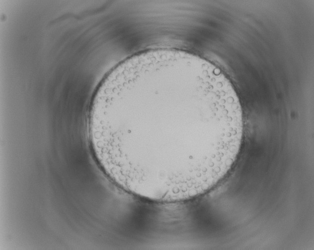 X0000075891130200610151744