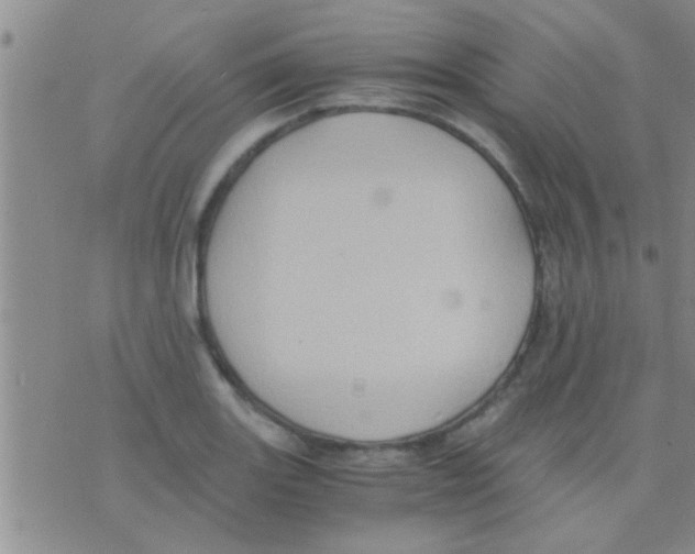 X0000075891131200610151744