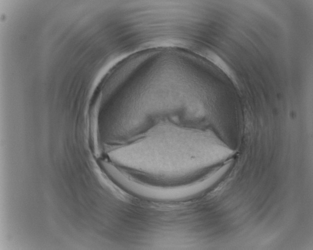 X0000075891132200610151744