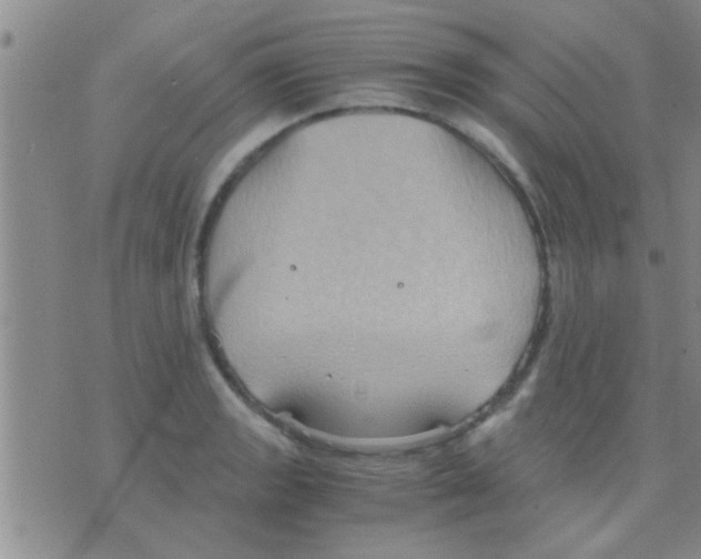 X0000075891133200610151744