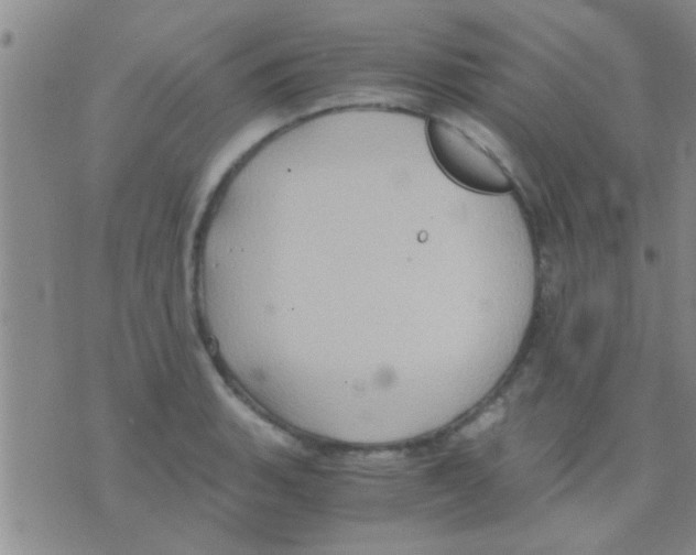 X0000075891135200610151744