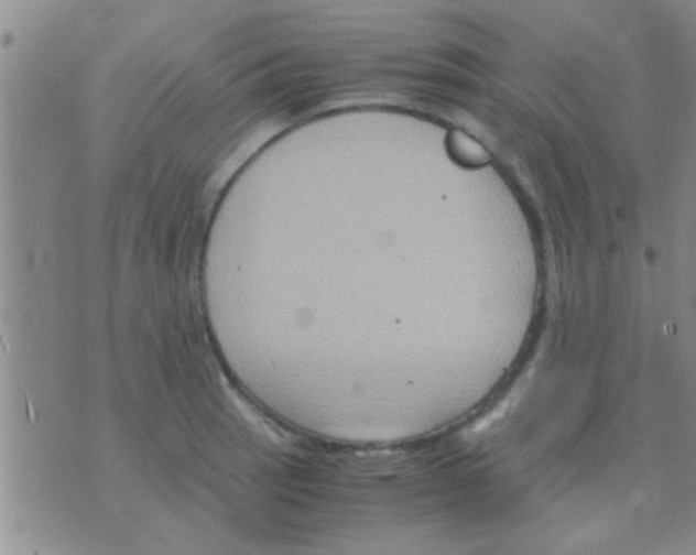 X0000075891137200610151744