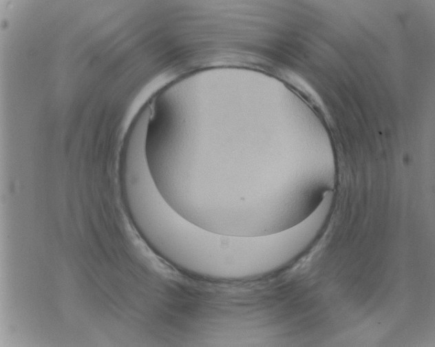 X0000075891138200610151744