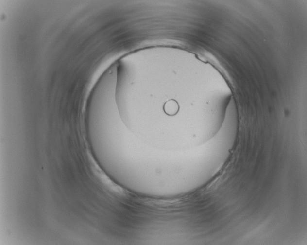 X0000075891140200610151744