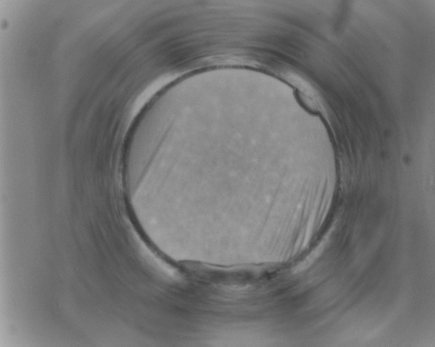 X0000075891141200610151744