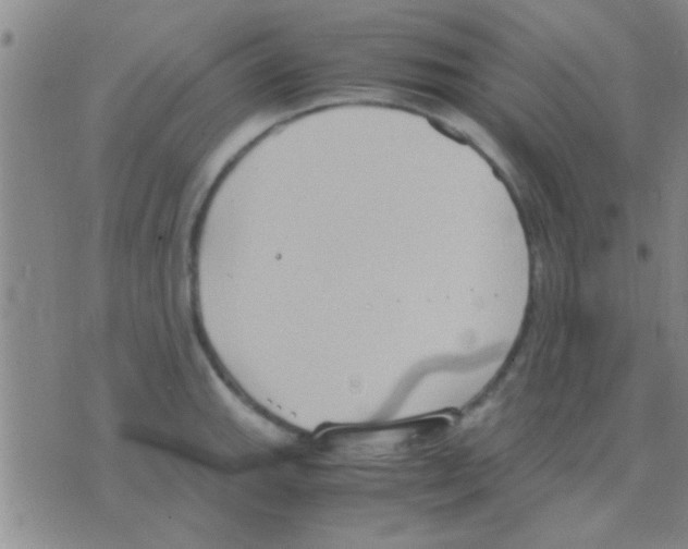 X0000075891143200610151744