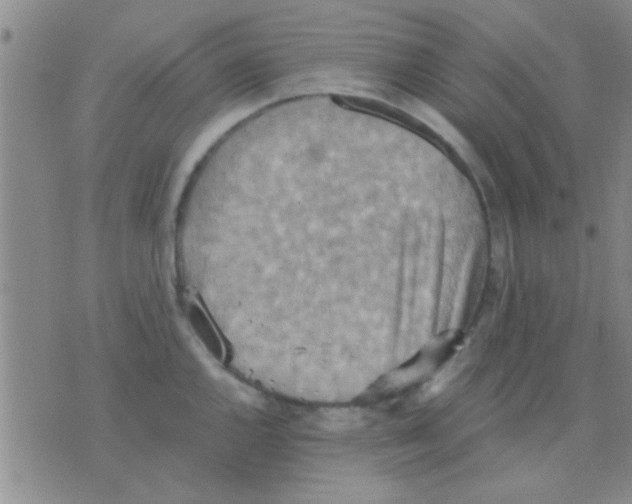 X0000075891144200610151745