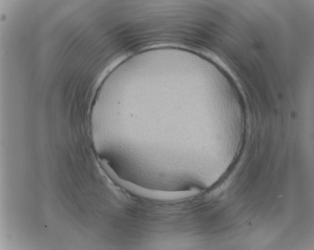 X0000075891145200610151745