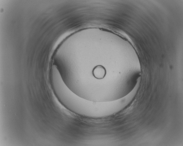 X0000075891147200610151745