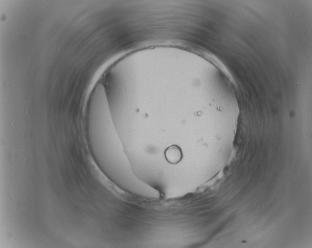 X0000075891148200610151745