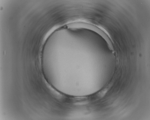 X0000075891151200610151745