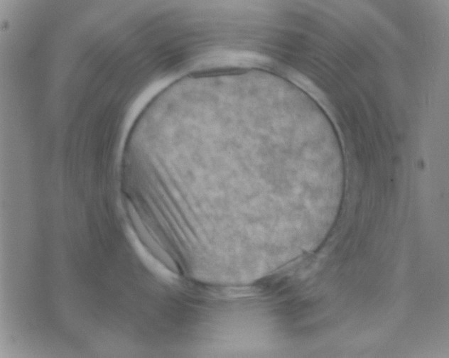 X0000075891152200610151745