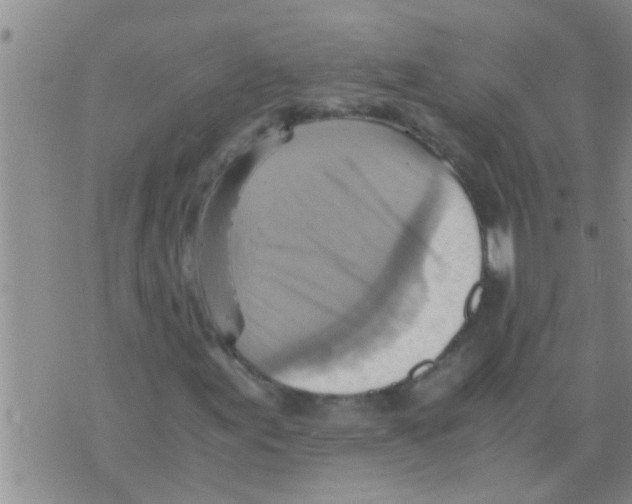 X0000075891155200610151744