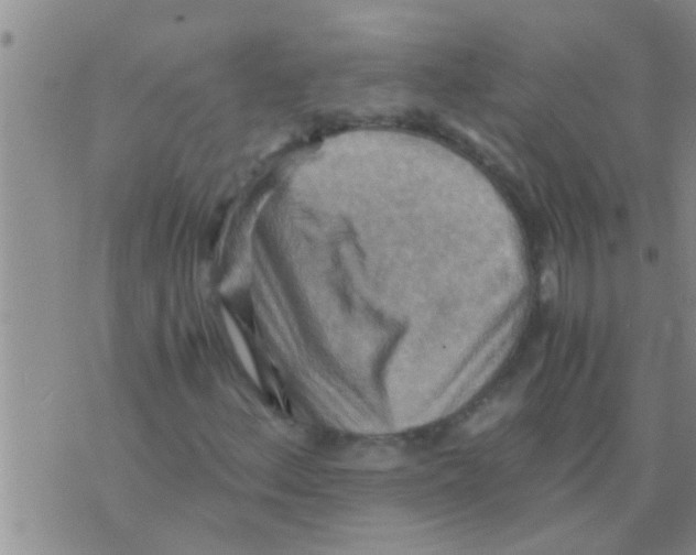 X0000075891156200610151744