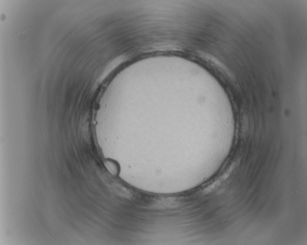 X0000075891162200610151744