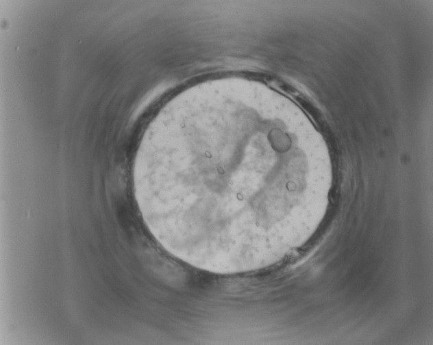 X0000075891163200610151744