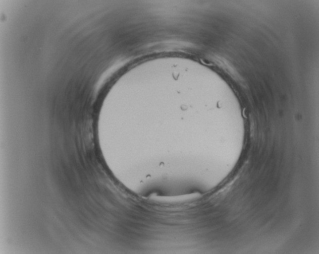 X0000075891164200610151744