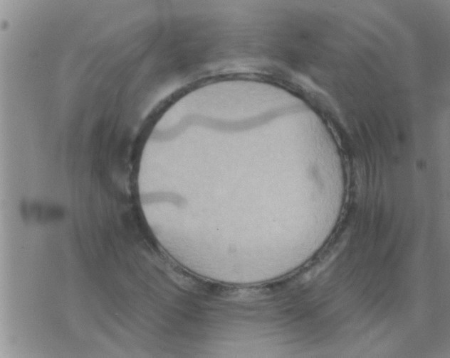 X0000075891166200610151744