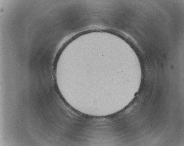 X0000075891168200610151744