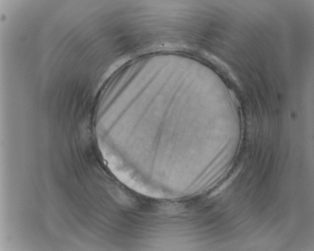 X0000075891170200610151744