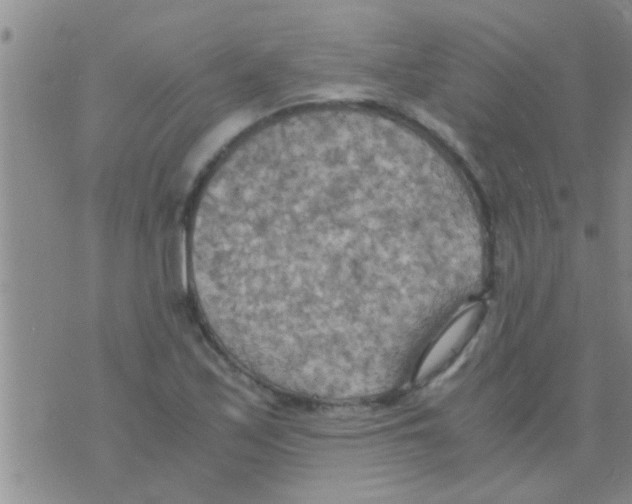 X0000075891171200610151744