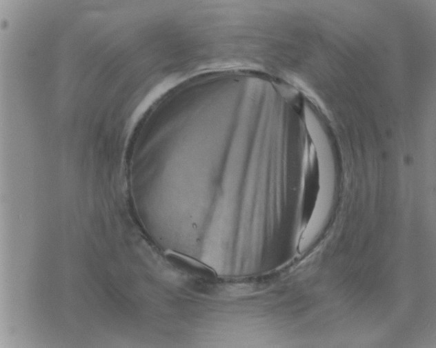 X0000075891173200610151744