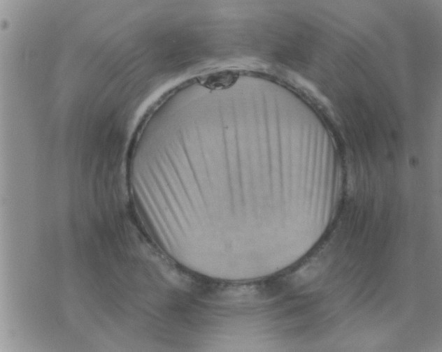 X0000075891174200610151744