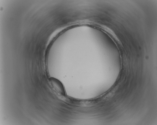 X0000075891176200610151743