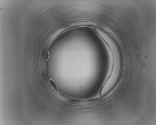 X0000075891177200610151743