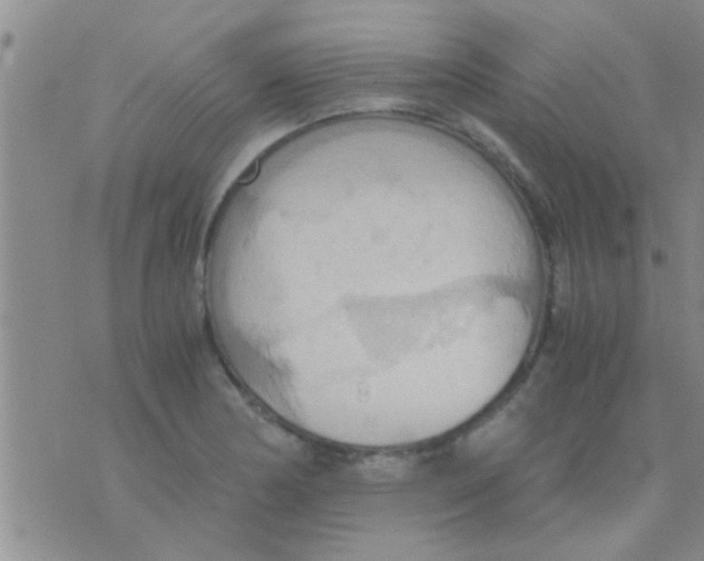 X0000075891178200610151743