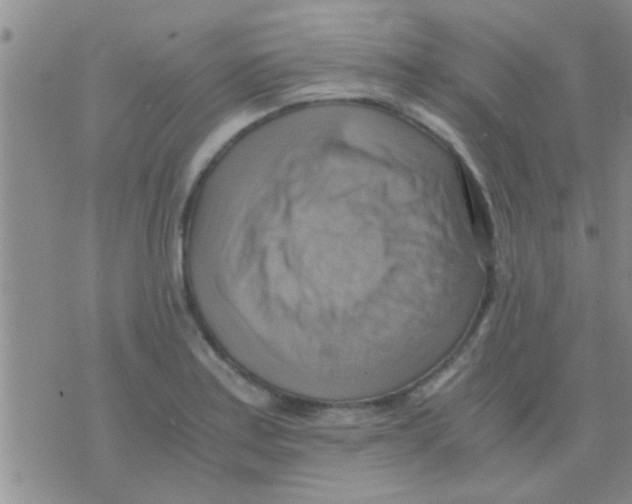 X0000075891179200610151743