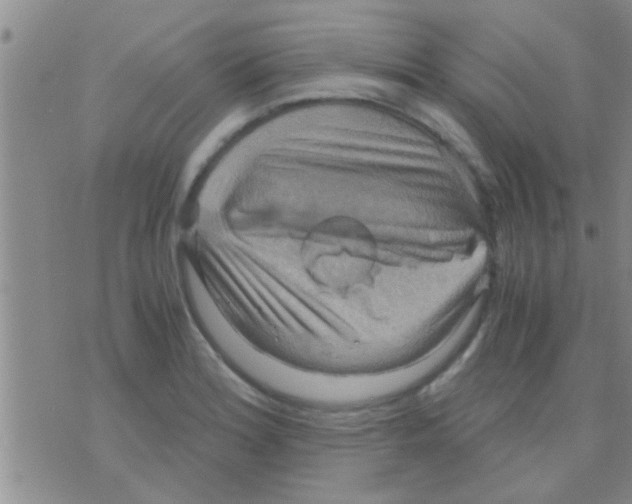 X0000075891180200610151743